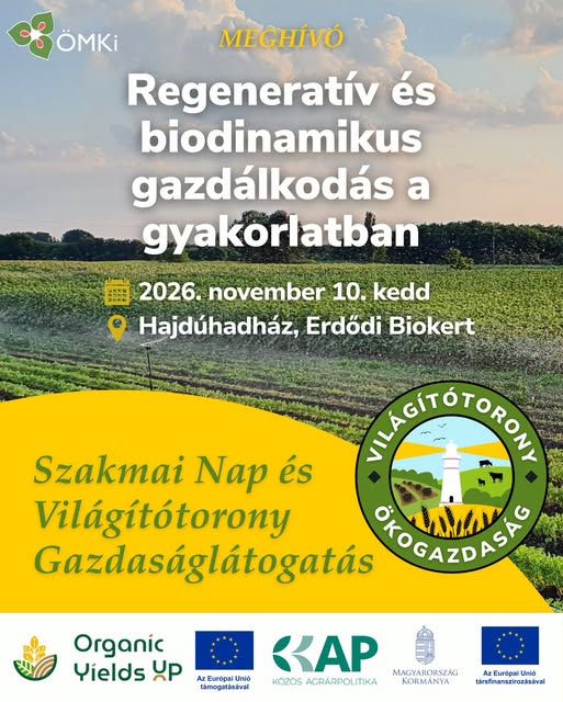 Meghívó