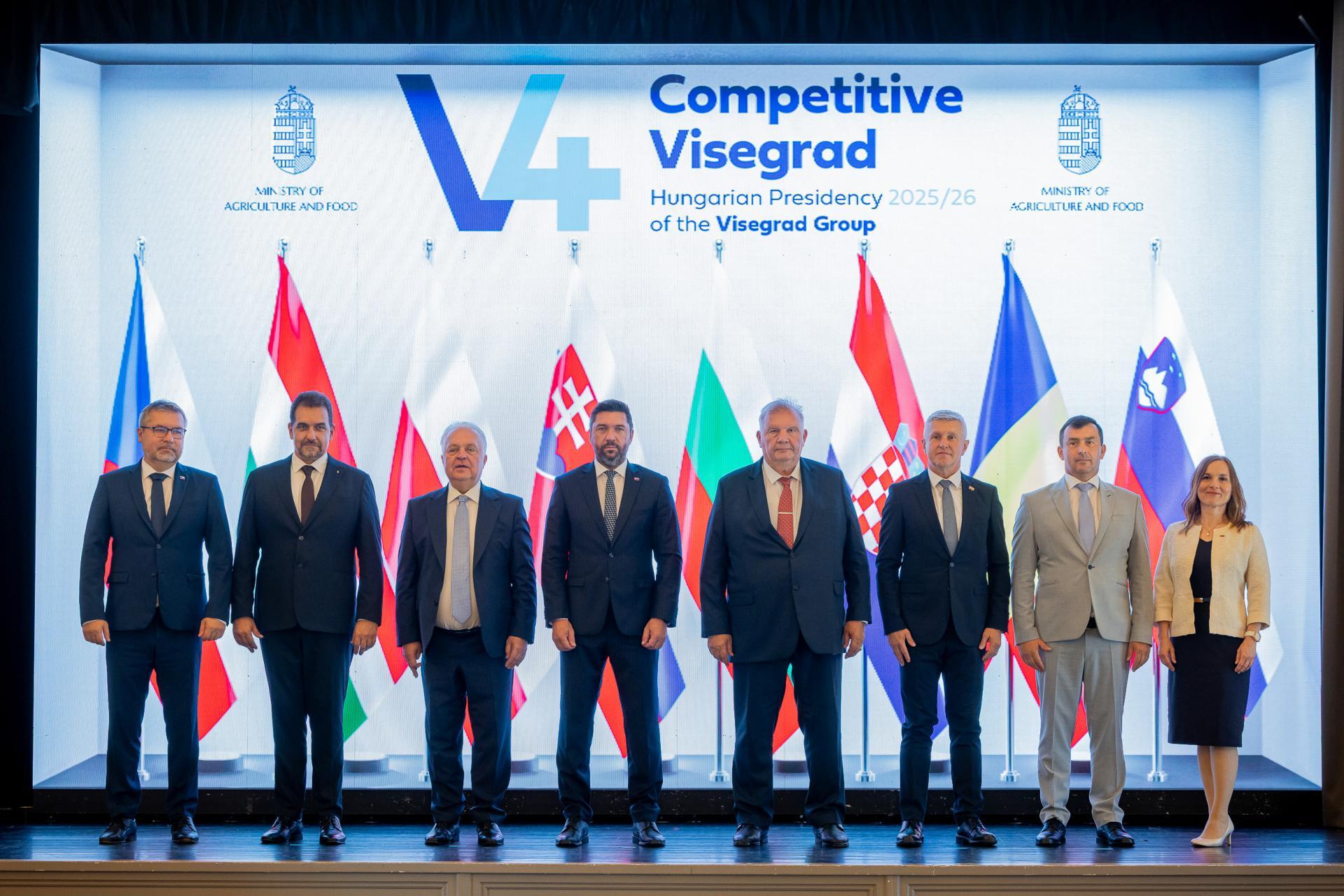 V4+4 országok találkozója